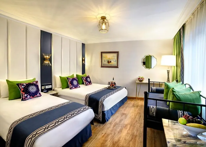 Отель Ephesus Стамбул