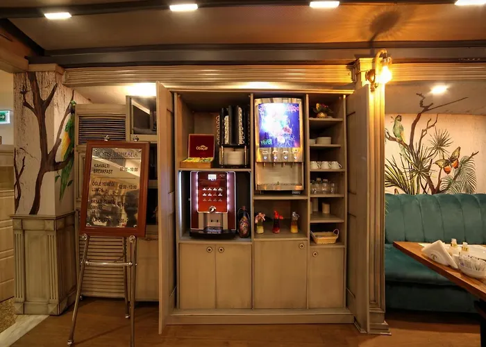 Отель Ephesus 4*