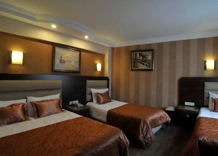 Отель Ephesus 4*